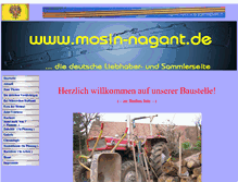 Tablet Screenshot of mosin-nagant.de